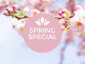 spring-special